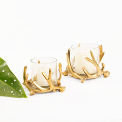 Branched Candle Stands - Set of 2