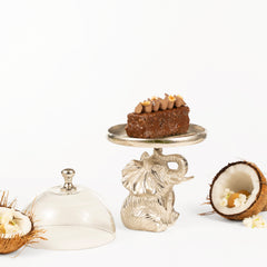 Elephant Mini Cloche